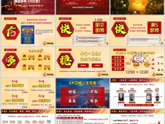 国寿鑫益年年分红型产品亮点四大功能示例方案17页.pptx 
