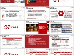爱心百岁人生3.0年金保险乐享版背景产品要素案例23页.pptx 