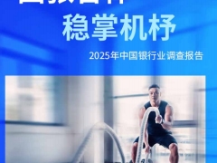 2025年中国银行业调查报告230页.pdf