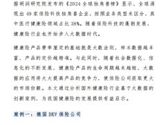大数据时代下健康险创新的国际经验13页.pdf 