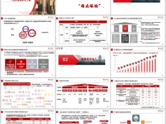 中信保诚团险套装件体系团险基础知识线上投保21页.pptx