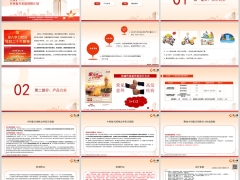 人保寿险全家护乡村振兴家庭保障计划产品亮点方案21页.pptx 