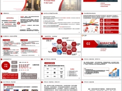 团险特点支持好处客户画像客户开拓方法中信保诚版21页.pptx 