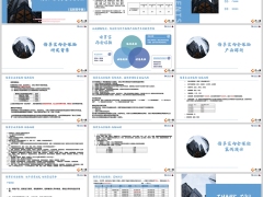 交银人寿倍享宝两全保险背景产品解析案例演示15页.pptx 