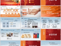 2025康养之旅高客臻传系列活动流程阳光版16页.pptx 