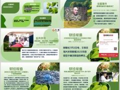 每日新闻资讯25年7月5日早会使用11页.pptx