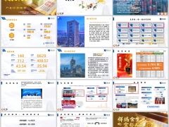 财信人寿公司介绍祥瑞金生产品特色投保案例36页.pptx 