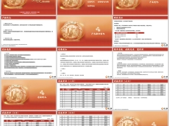 阳光玺悦人生产品基础特征特色利益演示运营规则17页.pptx 