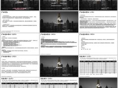 阳光人寿玺悦未来产品基础特征特色利益演示19页.pptx 