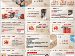 新华荣耀鑫享智享版终身寿险产品解析客群案例20页.pptx 