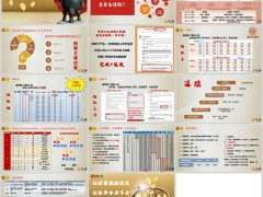 长城八达岭南山南山旗舰版产品介绍规则宣导课件14页.pptx 