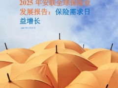 2025安联全球保险业发展报告保险需求日益增长32页.pdf 