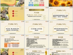 新华鑫享人生产品特色解析案例演示运营规则21页.pptx 