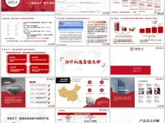 富德生命鑫盈人生产品形态卖点详解案例VIP增值服务35页.pptx 