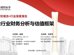 2025保险行业深度报告寿险行业财务分析与估值框架104页.pdf 