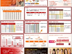 泰康幸福人生2025保险产品计划四大优势产品案例15页.pptx 