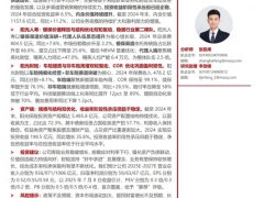 阳光保险深度报告从高ROE到高股息资负双轮驱动的价值跃迁51页.pdf 