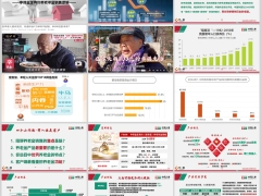 中荷金生有约臻享版养老年金产品特色案例销售逻辑35页.pptx 