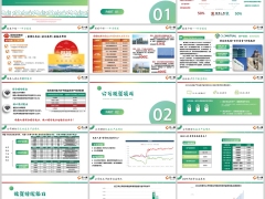 瑞泰公司股东介绍投资项目持续能力分红意愿及实现率34页 .pptx 