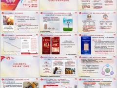 2024中信保诚人寿营销渠道客户保险服务报告21页.pptx 