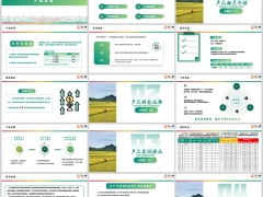 瑞泰鸿利宝万能型产品特色优势案例演示投保规则18页.pptx 