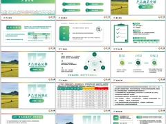 瑞泰安享人生万能型产品特色优势案例演示投保规则17页.pptx 