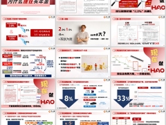 为什么现在买年金保险泰康泰盈人生版23页.pptx 
