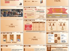 太平e养添年优享版互联网专属背景产品形态特色<font color=red>案例</font>演示19页.pptx 