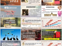 2025私人定制综合产说会主讲新华盛世荣耀智赢版42页.pptx 