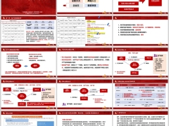杠杆寿产品功能企业主讲解逻辑中英传世永恒版17页.pptx 