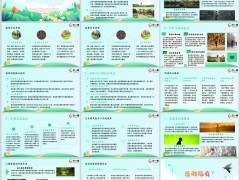 正能量培训滋养自己最好的方式走出去15页.pptx 