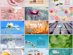 保险团队鲜花蛋糕庆生早会流程模板15页.pptx 