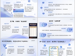 831大限保险业利率切换下应对13页.pptx