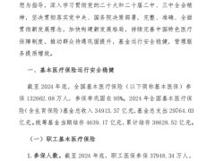 2024年全国医疗保障事业发展统计公报13页.pdf 