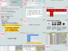 海港如意星产品形态回顾计划书讲解增值服务35页.pptx 