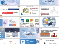 传承视角下财富规划保险金信托经典案例看继承纠纷21页.pptx 