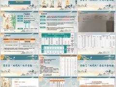瑞众富贵竹聚宝盆典藏版财富宝甄选版产品要素形态21页.pptx 
