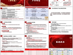 复星保德信星满盈终身寿险分红型产品概述案例演示15页.pptx 