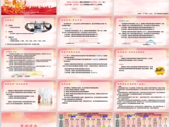 复星保德信星海赢家火凤版A产品概述案例演示16页.pptx 