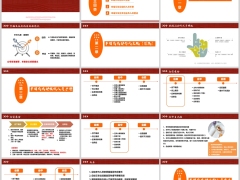 创业交友会目的特点形式主题组织人员操作手册32页.pptx 