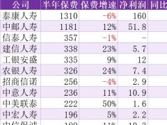 2025年上半年保险公司保费利润排行榜.xlsx 