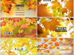 秋天红黄枫叶早会流程模板10页.pptx 