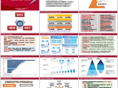 低利率时代宏观分析金融热点解读与银保渠道运营应用19页.pptx 