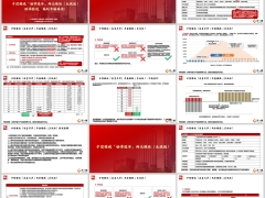 中信保诚安享年华风华至诚版基础知识案例演示20页.pptx 