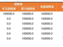 阳光人寿金吉利G款两全保险产品算法.xlsx 