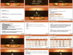 阳光金吉利G款产品特色基本特征分红说明利益演示16页.pptx