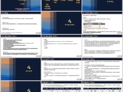 阳光金稳盈G款产品特色基本特征分红说明利益演示19页.pptx 