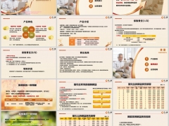 新华臻享人生添翼版产品解析案例演示运营规则19页.pptx 