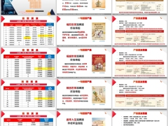 新华银保宏泰世家福欣世家添翼版等六款新产品简介22页.pptx 