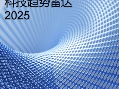2025保险科技趋势雷达慕尼黑再保险集团安顾集团87页.pdf 